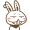 rabbit-010
